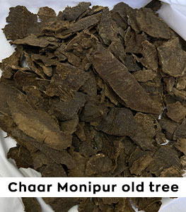 Bakhoor -Chaar Monipur Olf Tree